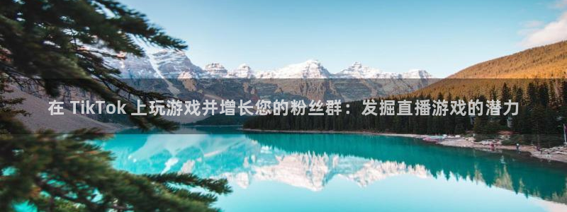 新城平台注册流程及费用