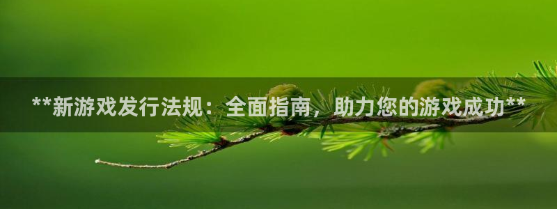 新城平台注册
