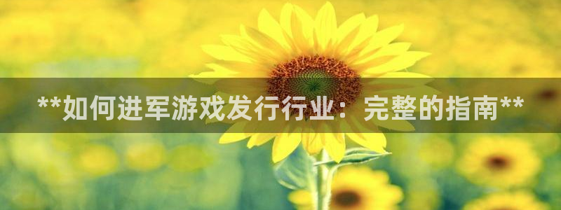 新城平台代理注册条件