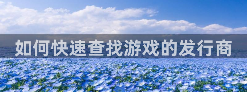 新城平台官网注册账号：如何快速查找游戏的发行商