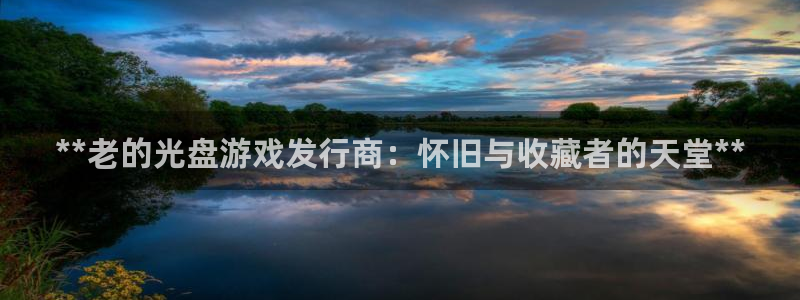 新城平台线路登录不上去怎么回事：**老的光盘游戏发行商：怀旧与收藏者的天堂**