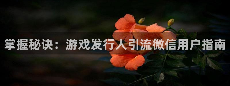 新城平台线路登录不上去怎么回事儿：掌握秘诀：游戏发行人引流微信用户指南