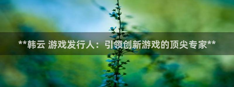 新城平台登录入口官网：**韩云 游戏发行人：引领创新游戏的顶尖专家**
