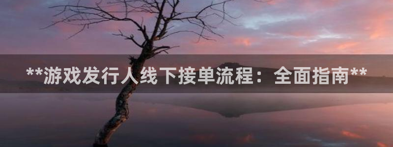 新城平台线路登录不上去怎么回事呢：**游戏发行人线下接单流程：全面指南**