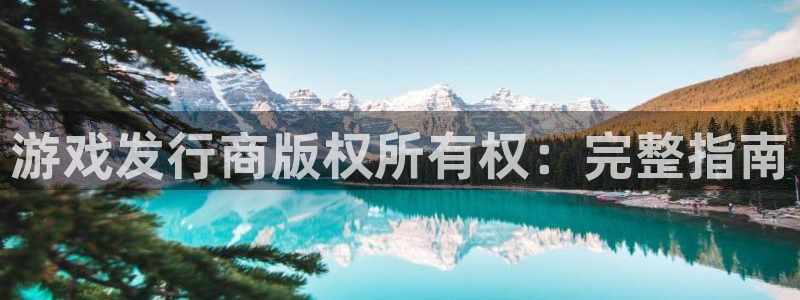 新城平台注册公司流程：游戏发行商版权所有权：完整指南