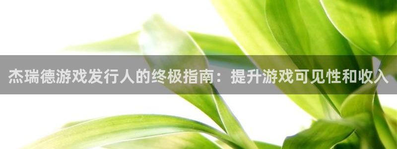新城平台总代