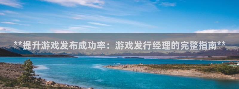新城平台注册流程：**提升游戏发布成功率：游戏发行经理的完整指南**