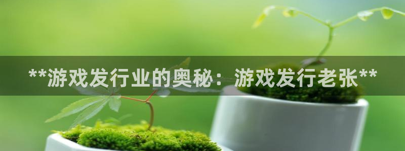 新城平台登录入口官网查询：**游戏发行业的奥秘：游戏发行老张**