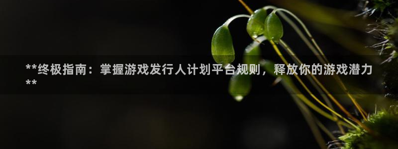 新城平台是正规平台吗：**终极指南：掌握游戏发行人计划平台规则，释放你的游戏潜力
**