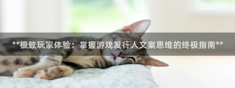 新城平台登录入口官网网址：**极致玩家体验：掌握游戏发行人文案思维的终极指南**