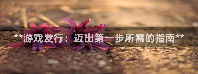 新城平台网址：**游戏发行：迈出第一步所需的指南**
