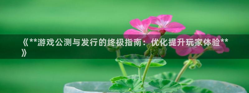 新城平台官网：《**游戏公测与发行的终极指南：优化提升玩家体验**
》