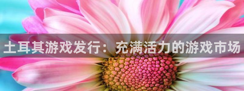 新城平台致7O777：土耳其游戏发行：充满活力的游戏市场