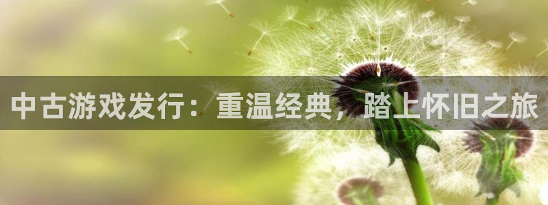 新城平台主管：中古游戏发行：重温经典，踏上怀旧之旅