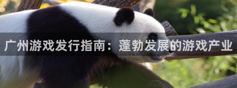 新城平台线路登录不上去怎么办：广州游戏发行指南：蓬勃发展的游戏产业