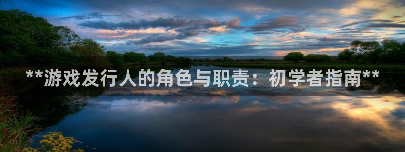 新城平台官网首页：**游戏发行人的角色与职责：初学者指南**