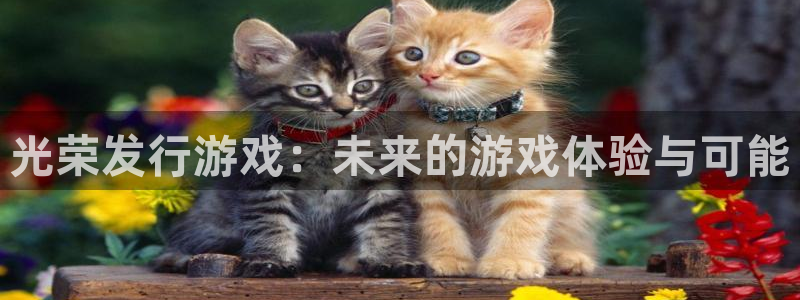 新城平台平台最新活动有哪些