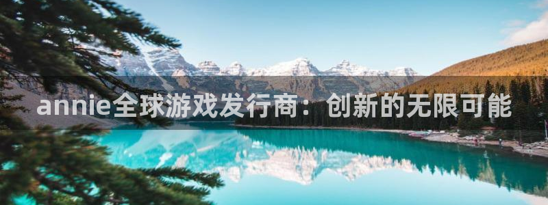 新城平台公司是国企吗
