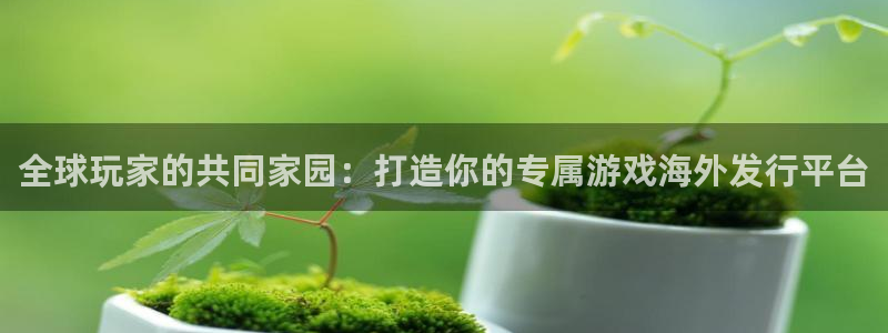 新城平台代理