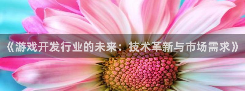新城平台负责人名单
