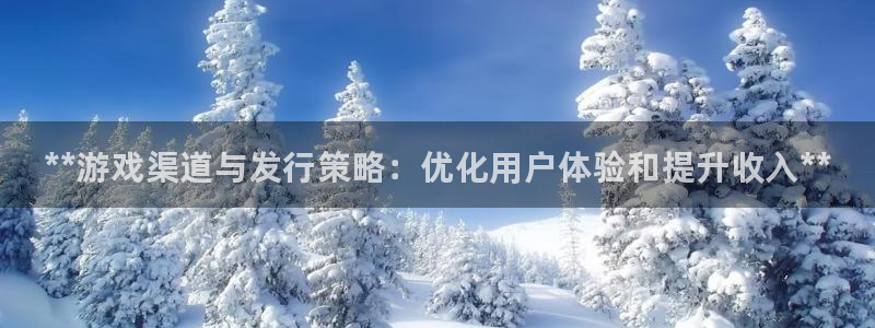 新城平台是正规平台吗：**游戏渠道与发行策略：优化用户体验和提升收入**