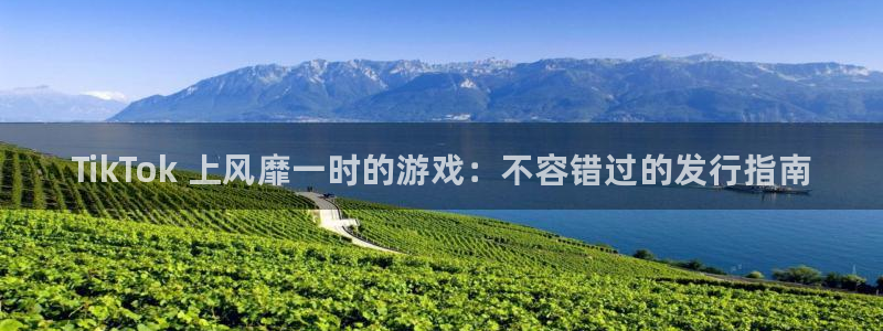 新城平台注册流程视频：TikTok 上风靡一时的游戏：不容错过的发行指南
