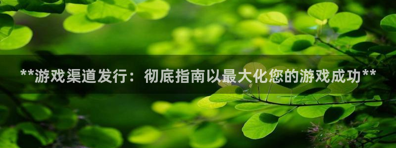 新城平台注册网址是多少：**游戏渠道发行：彻底指南以最大化您的游戏成功**
