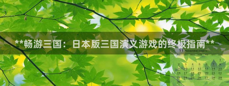 新城平台平台