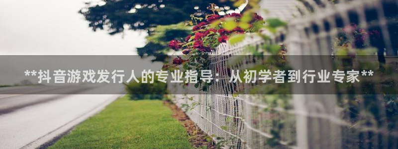 新城平台注册网址：**抖音游戏发行人的专业指导：从初学者到行业专家**