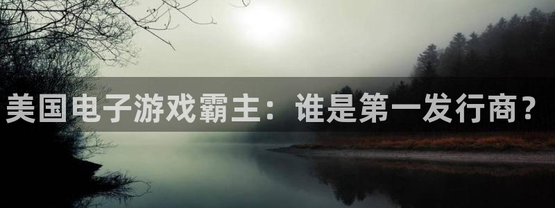 新城平台注册公司流程及费用：美国电子游戏霸主：谁是第一发行商？