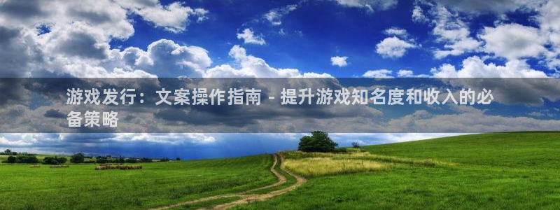 新城平台登录入口官网：游戏发行：文案操作指南 - 提升游戏知名度和收入的必
备策略