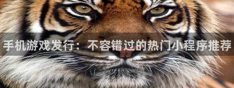 新城平台某7O777