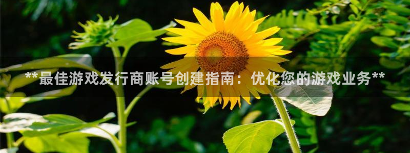 新城平台授权注册：**最佳游戏发行商账号创建指南：优化您的游戏业务**