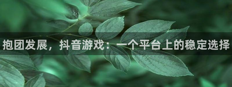 新城平台游戏：抱团发展，抖音游戏：一个平台上的稳定选择