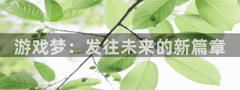 新城平台开户：游戏梦：发往未来的新篇章