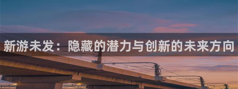新城平台新注册：新游未发：隐藏的潜力与创新的未来方向