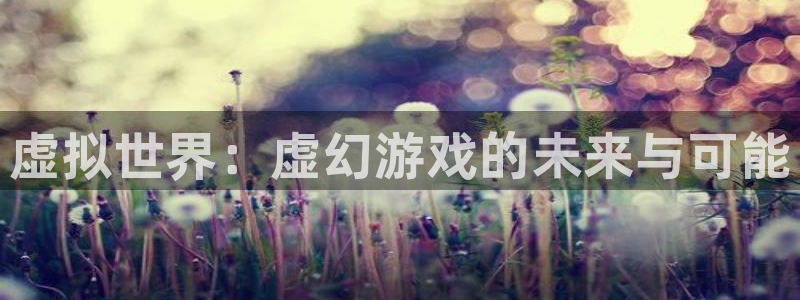 新城平台招商：虚拟世界：虚幻游戏的未来与可能