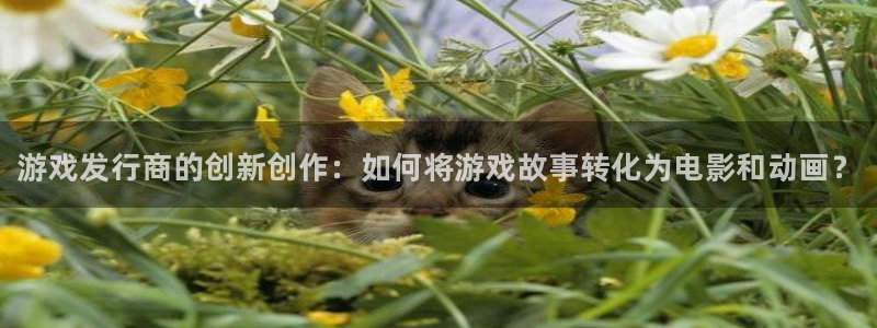 新城平台新注册