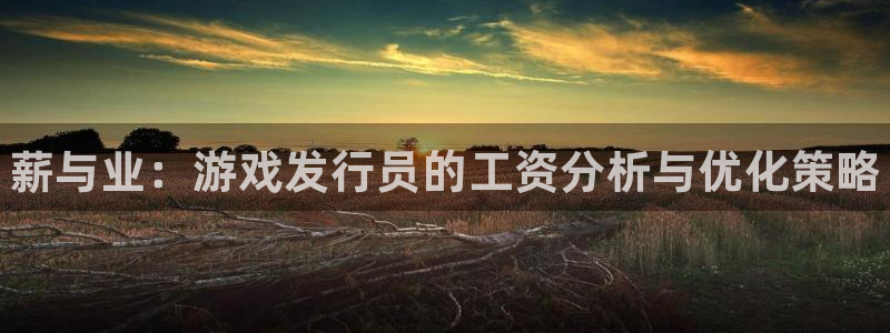 新城平台登录入口：薪与业：游戏发行员的工资分析与优化策略
