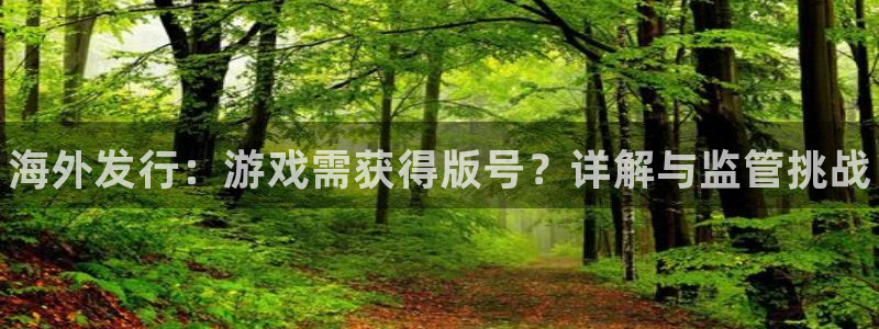 新城平台官网注册：海外发行：游戏需获得版号？详解与监管挑战