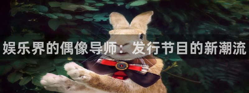 新城平台总代：娱乐界的偶像导师：发行节目的新潮流