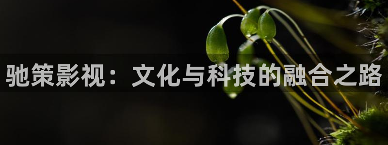 三妹影院：驰策影视：文化与科技的融合之路
