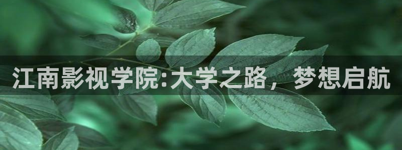 三妹影院免费观看：江南影视学院:大学之路，梦想启航
