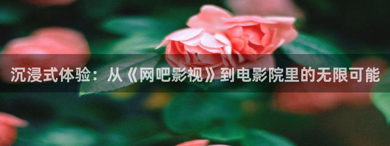 三妹影院免费观看：沉浸式体验：从《网吧影视》到电影院里的无限可能