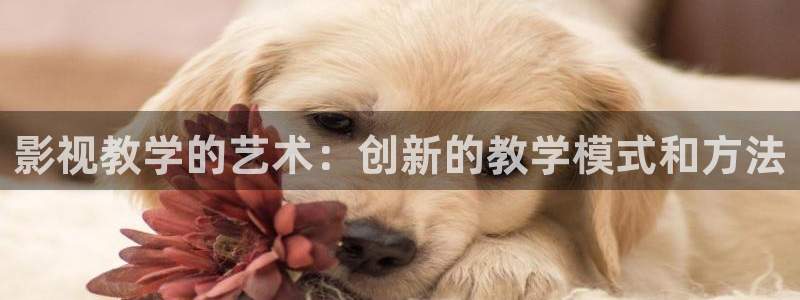三妹影院在线：影视教学的艺术：创新的教学模式和方法