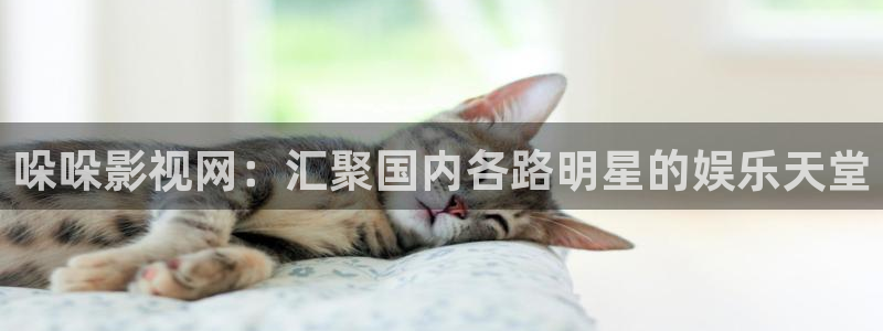 三妹影院免费观看：哚哚影视网：汇聚国内各路明星的娱乐天堂