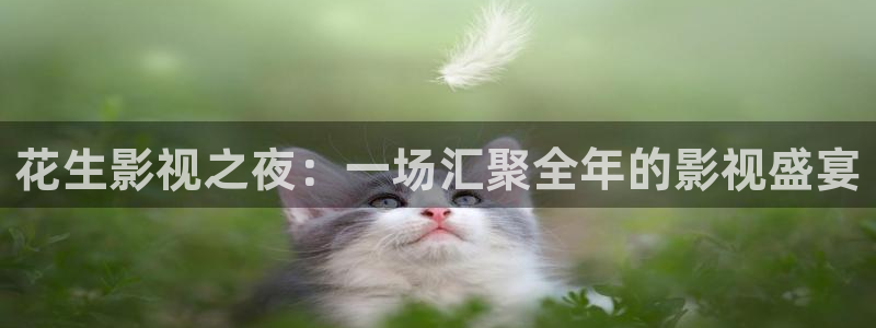 三妹影院：花生影视之夜：一场汇聚全年的影视盛宴